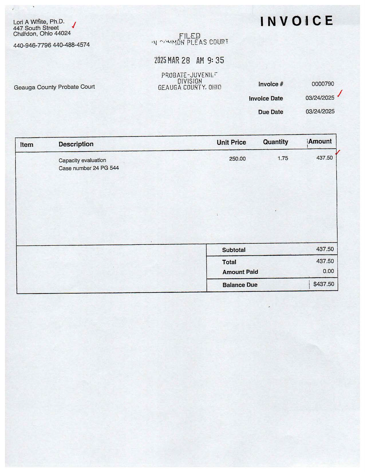 Payment Invoice