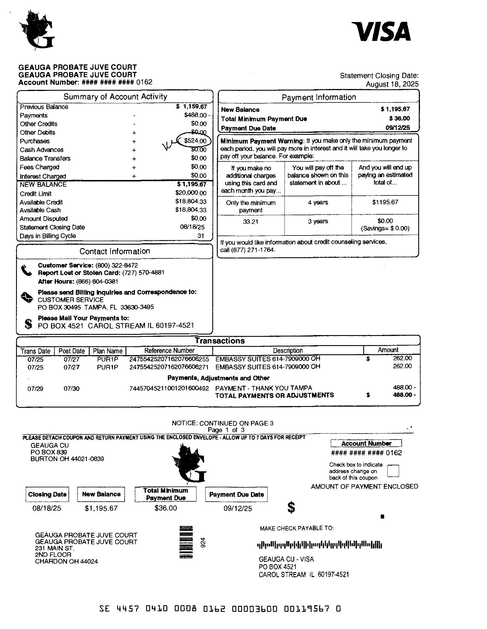 Visa Statement